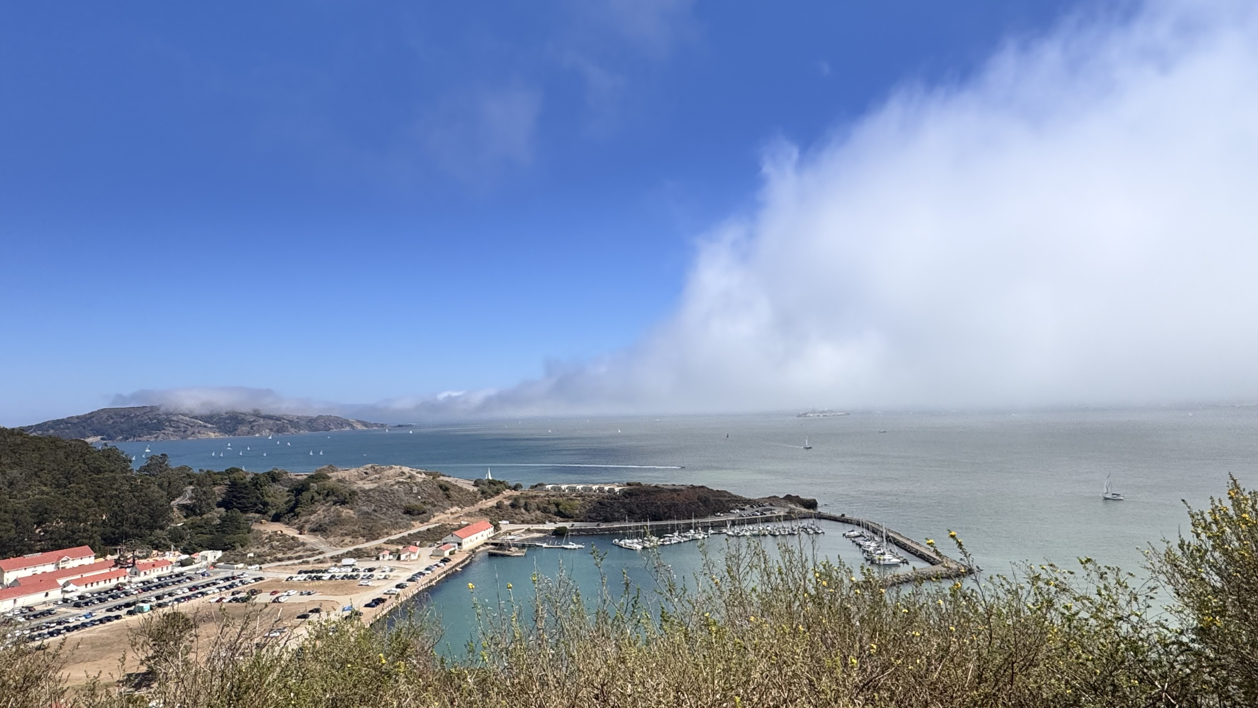 California Dreaming - IMG_0289.jpg