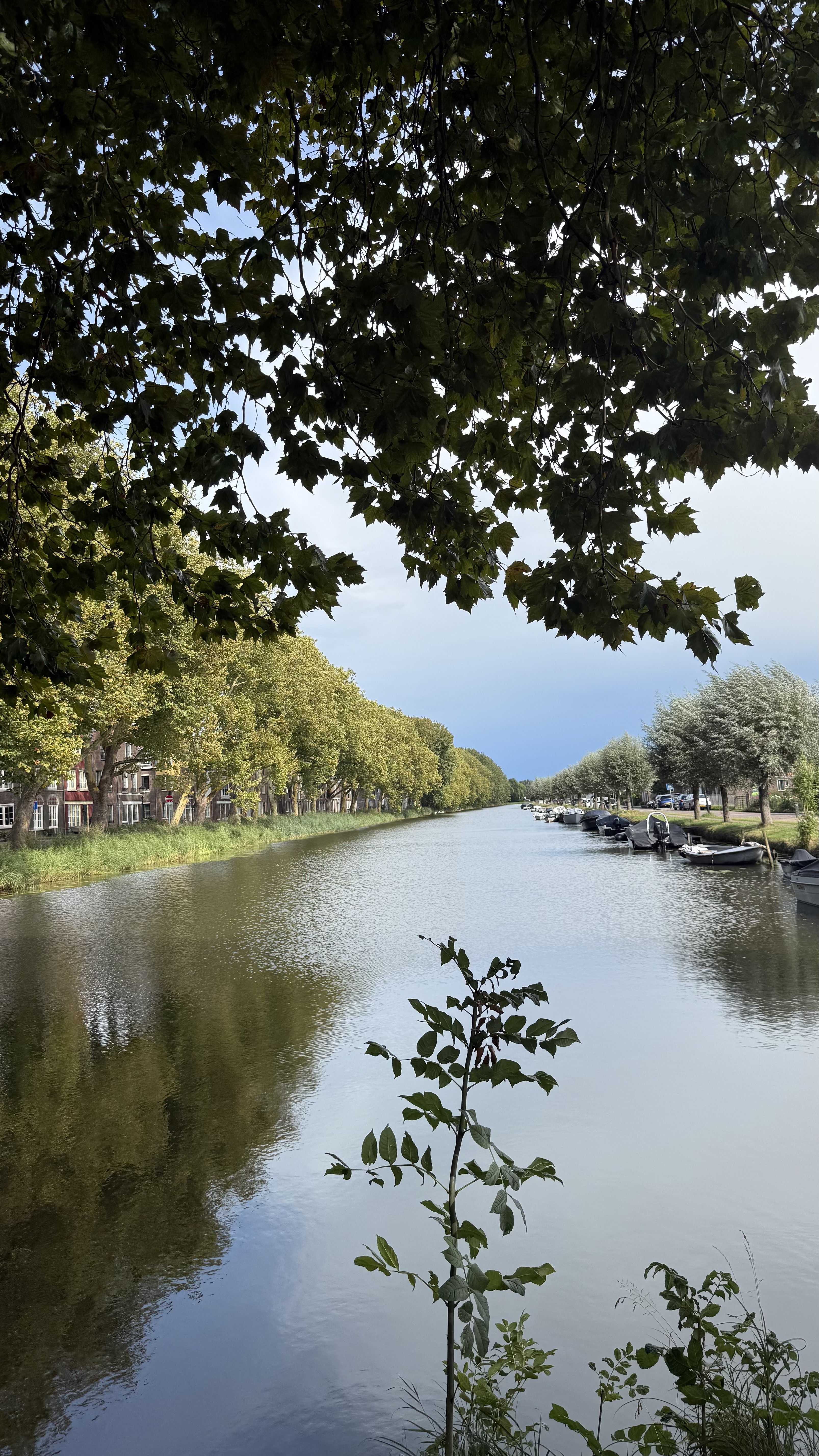 Netherlands Adventure